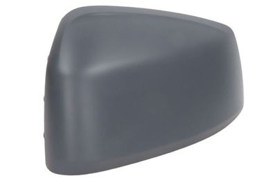 Cover, exterior mirror BLIC 5402-01-2381322P