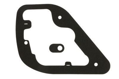 Gasket, tail light assembly BLIC 5402-02-0815500P