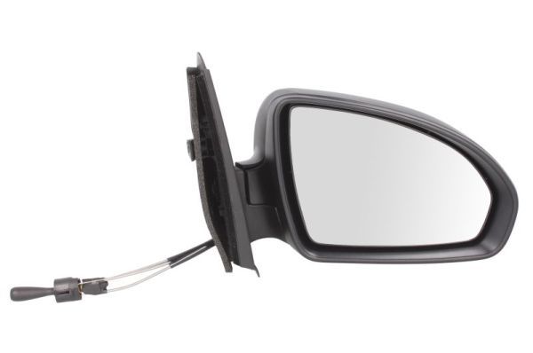 BLIC 5402-02-2002382P Exterior Mirror