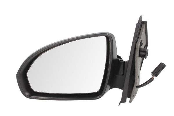 BLIC 5402-02-2002385P Exterior Mirror