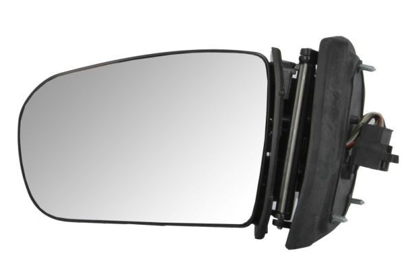 BLIC 5402-02-2002881P Exterior Mirror