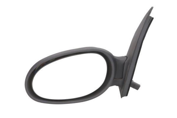 BLIC 5402-02-2002923P Exterior Mirror