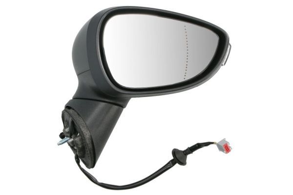 BLIC 5402-03-2001176P Exterior Mirror