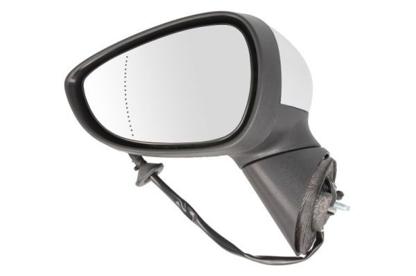 BLIC 5402-03-2001179P Exterior Mirror