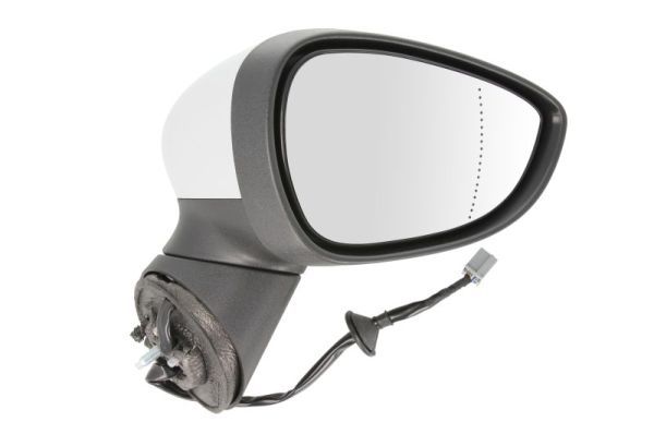 BLIC 5402-03-2001180P Exterior Mirror