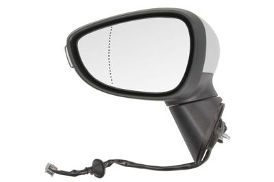 Exterior Mirror BLIC 5402-03-2001181P