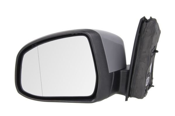 BLIC 5402-03-2001199P Exterior Mirror