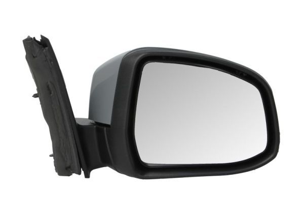 BLIC 5402-03-2001202P Exterior Mirror