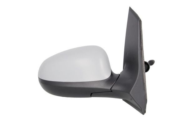 BLIC 5402-03-2001206P Exterior Mirror