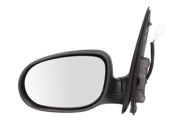 BLIC 5402-03-2001207P Exterior Mirror