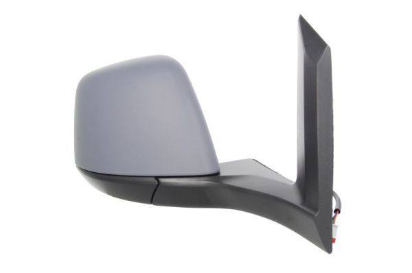 BLIC 5402-03-2001246P Exterior Mirror