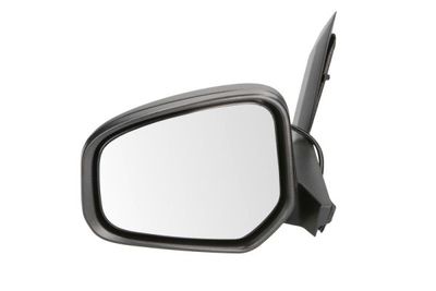 Exterior Mirror BLIC 5402-03-2001259P