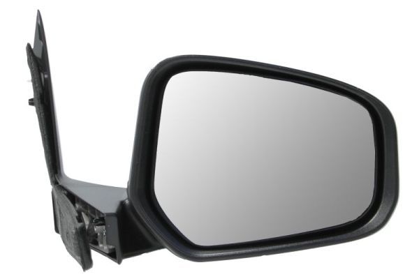 BLIC 5402-03-2001262P Exterior Mirror