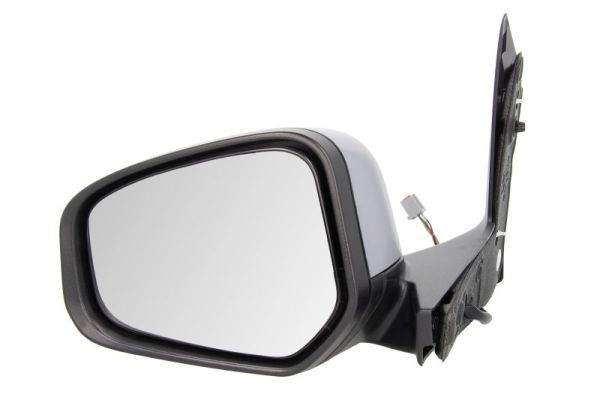 BLIC 5402-03-2001273P Exterior Mirror
