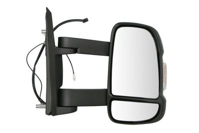 Exterior Mirror BLIC 5402-04-0317310P