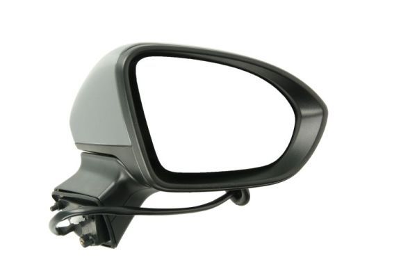 BLIC 5402-04-0405292P Exterior Mirror
