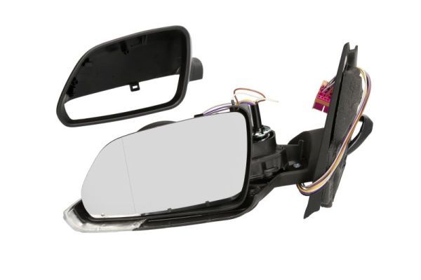 BLIC 5402-04-1111111P Exterior Mirror
