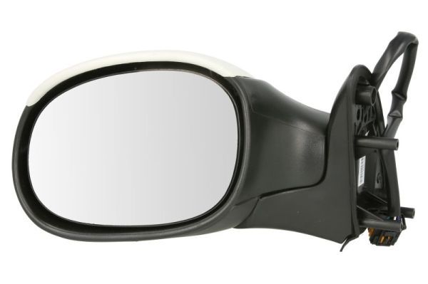BLIC 5402-04-1111339P Exterior Mirror