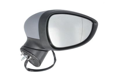 Exterior Mirror BLIC 5402-04-1111394P