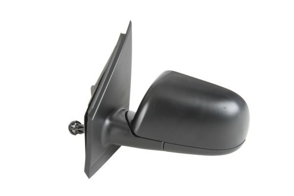 BLIC 5402-04-1112119P Exterior Mirror