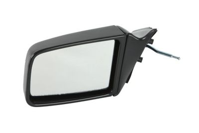 Exterior Mirror BLIC 5402-04-1112235P