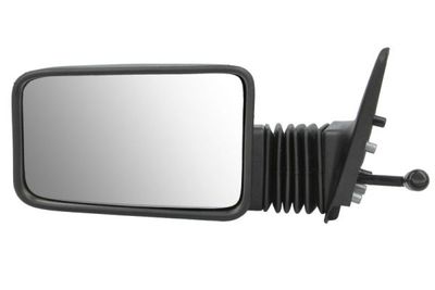 Exterior Mirror BLIC 5402-04-1112295P