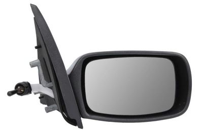Exterior Mirror BLIC 5402-04-1115384P