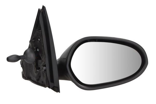 BLIC 5402-04-1115524P Exterior Mirror