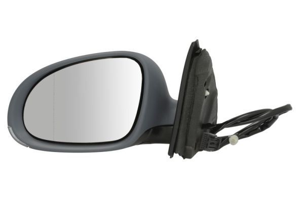 BLIC 5402-04-1121121P Exterior Mirror