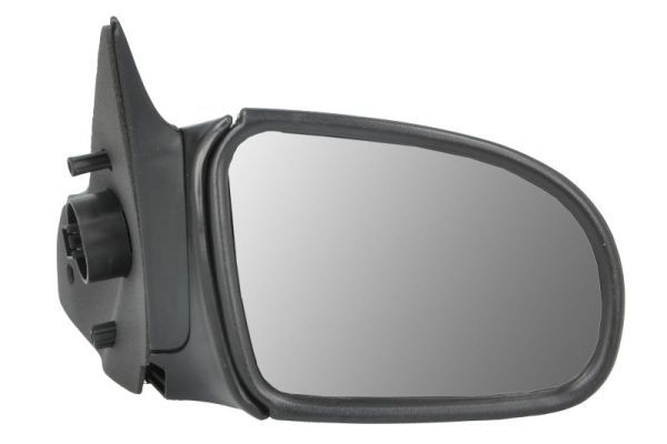 BLIC 5402-04-1121217P Exterior Mirror