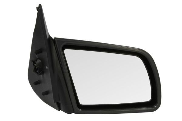 BLIC 5402-04-1121238P Exterior Mirror