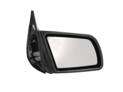 Exterior Mirror BLIC 5402-04-1121239P