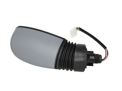 Exterior Mirror BLIC 5402-04-1121329P