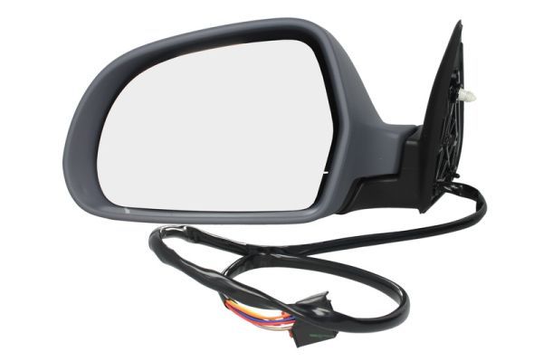 BLIC 5402-04-1121564P Exterior Mirror