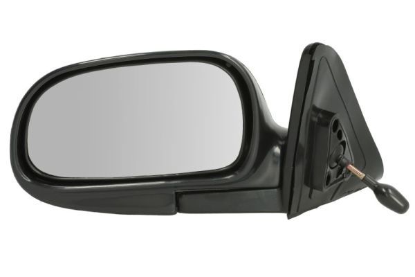 BLIC 5402-04-1121574P Exterior Mirror