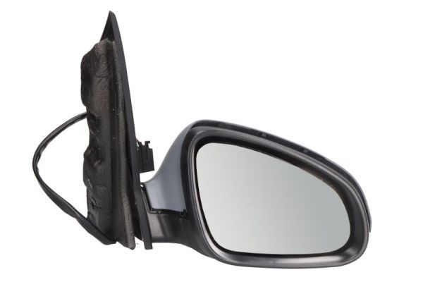 BLIC 5402-04-1121594P Exterior Mirror