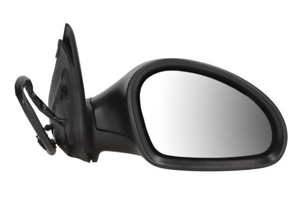 BLIC 5402-04-1121997P Exterior Mirror