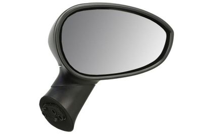 Exterior Mirror BLIC 5402-04-1122527P