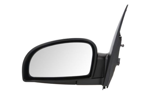 BLIC 5402-04-1125120 Exterior Mirror