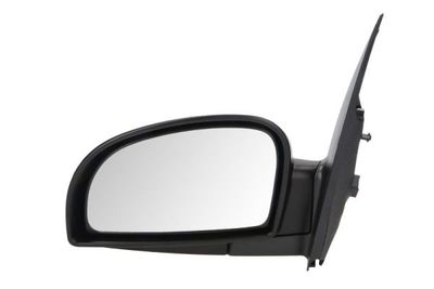 Exterior Mirror BLIC 5402-04-1125120