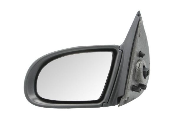 BLIC 5402-04-1125220P Exterior Mirror