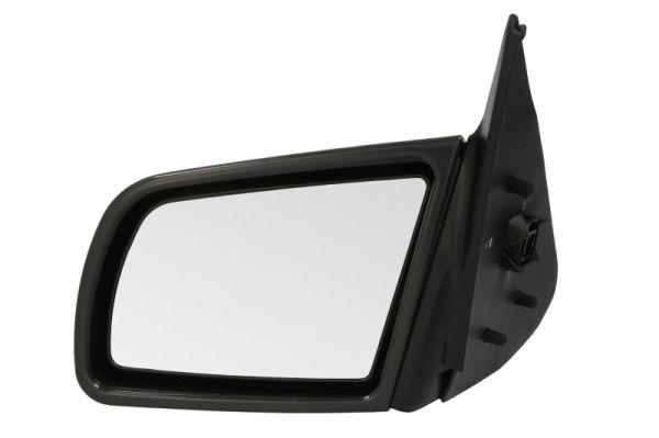 BLIC 5402-04-1125236P Exterior Mirror