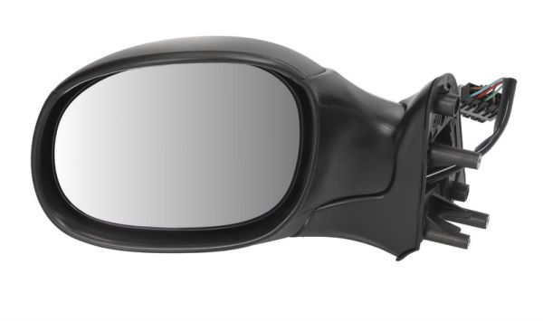 BLIC 5402-04-1125312 Exterior Mirror