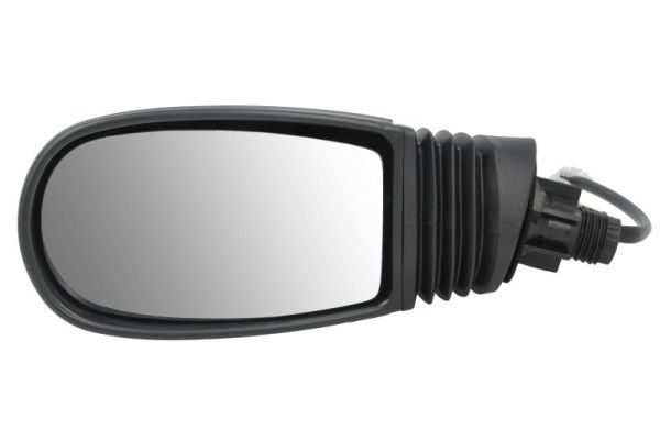 BLIC 5402-04-1125329 Exterior Mirror