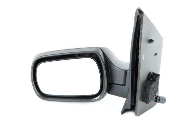 BLIC 5402-04-1125389 Exterior Mirror
