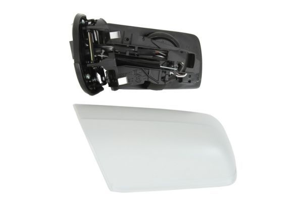 BLIC 5402-04-1125539 Exterior Mirror