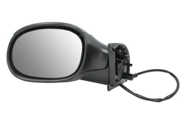 BLIC 5402-04-1125851 Exterior Mirror