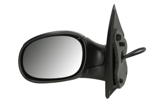 BLIC 5402-04-1125853 Exterior Mirror