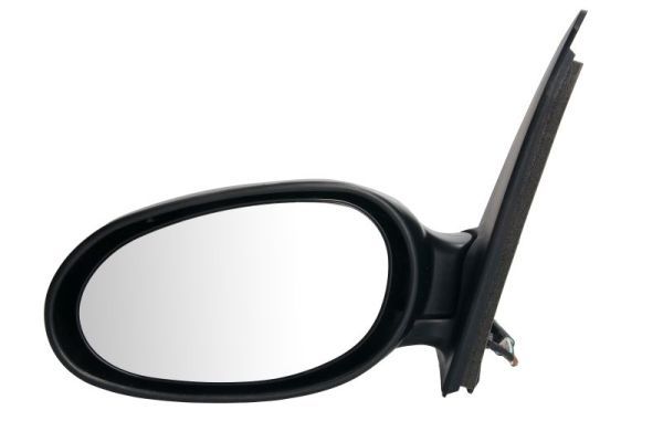 BLIC 5402-04-1125919P Exterior Mirror