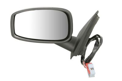 Exterior Mirror BLIC 5402-04-1125931P